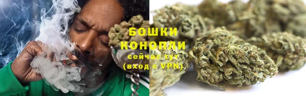 винт Новозыбков